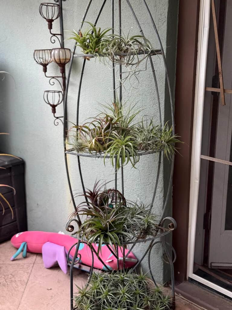 Tiered Metal Stand Turned Air Plant Tower