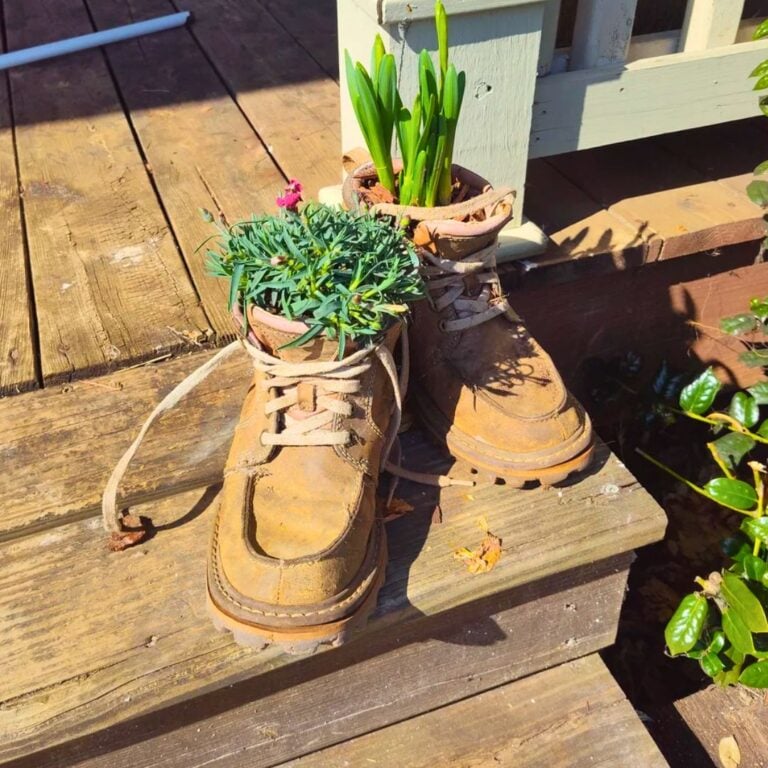 7 Upcycled Winter Plant Pot Ideas To Brighten Your Home