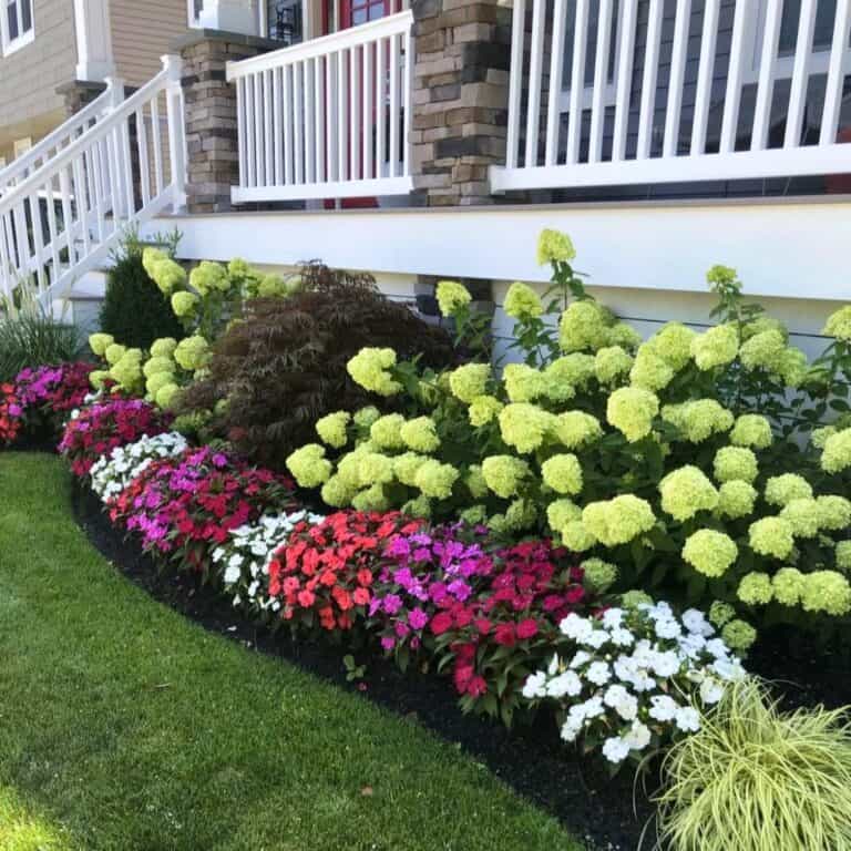 15 Full Sun Flower Bed Ideas To Beautify Your Front Yard