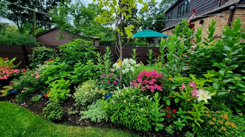 Pollinator garden