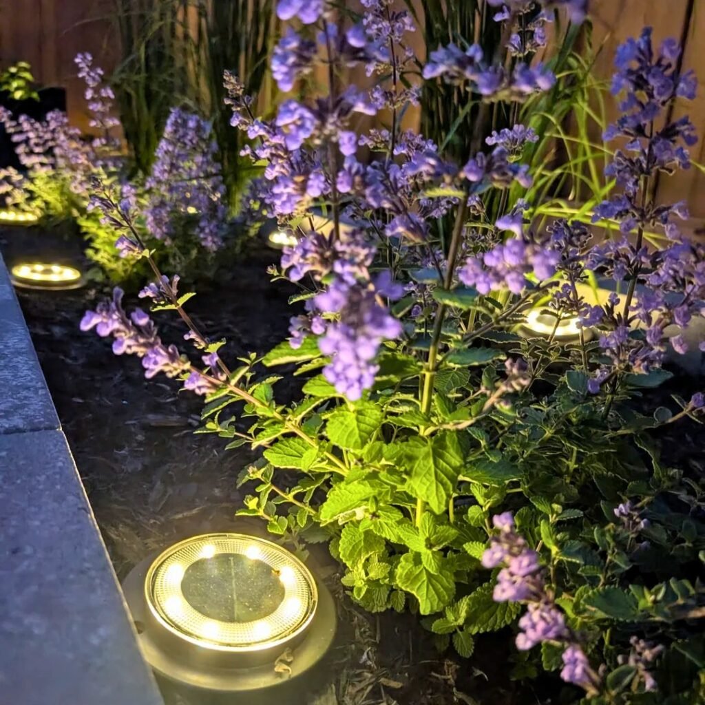 solar garden lights
