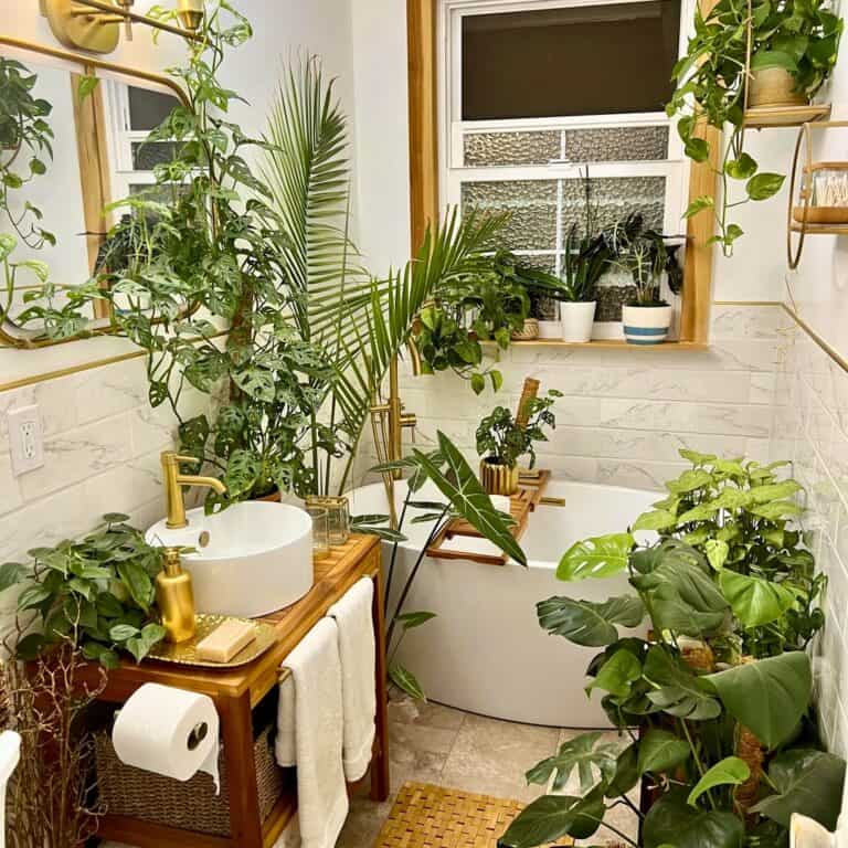 11 Bathroom Plants That Fight Mold Naturally