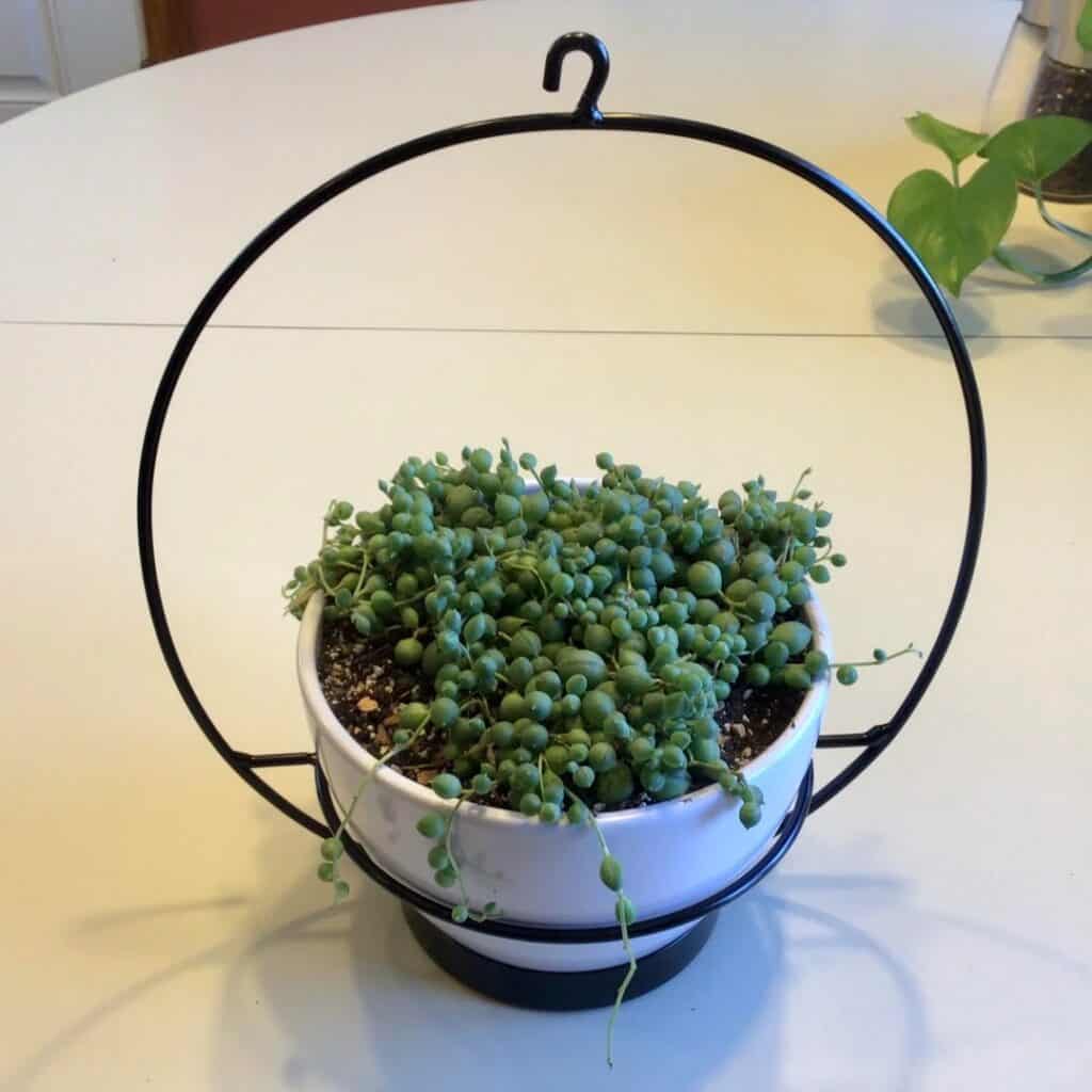 Ceramic Pots on Chains