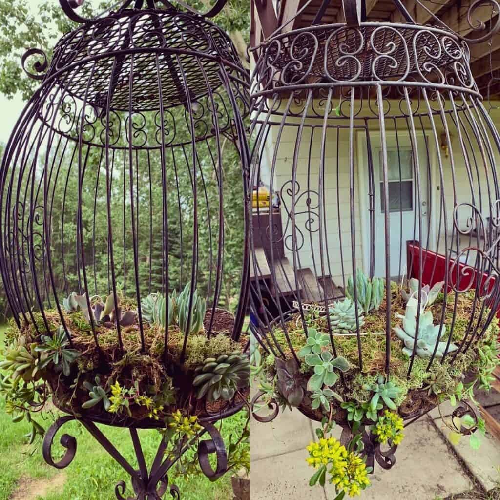 Hanging Birdcage Planter