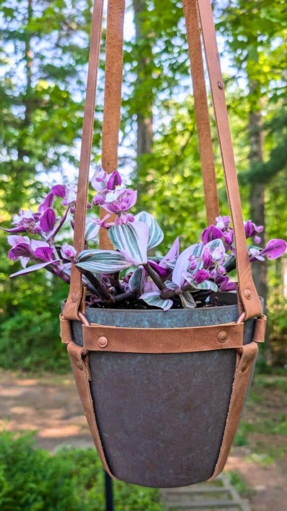 Leather Strap Hangers
